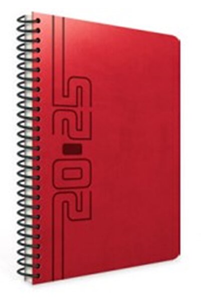 Gıpta Agenda Daily 2025 20X28 70 Gr. Ivory Paper 336 Sheets Saturday-Sunday in One Sheet