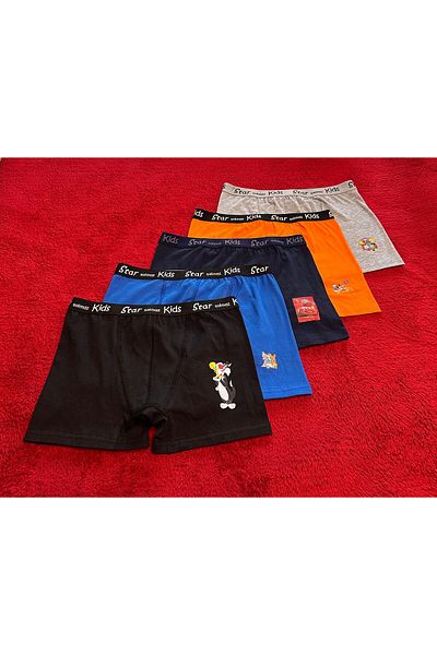starsolmaz Character Boxers for Kids Kids Set of 5