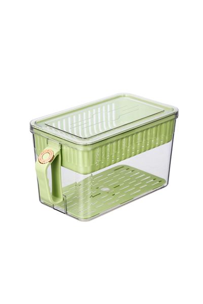 Felli Refrigerator Container with Handle 29cm Y1K110210-SG