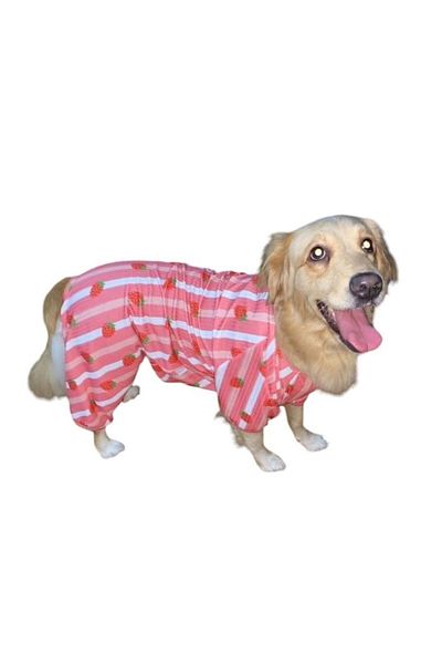 GedyCo Strawberry Combed Large Breed Dog Jumpsuit