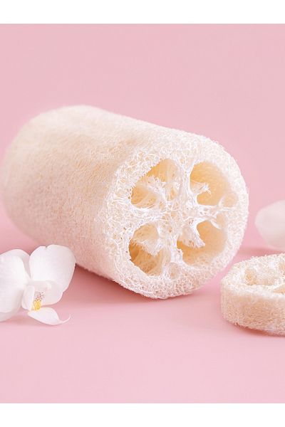 LEODİNS 100% Natural Pumpkin Fiber 12 Cm, Bathroom and Kitchen Fiber 1 Piece