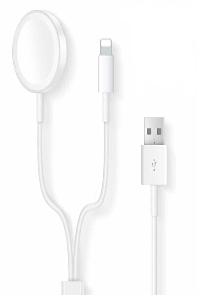 Microcase Apple Watch Series 10 için 42mm / 46 mm Manyetik Lightning+USB Şarj...