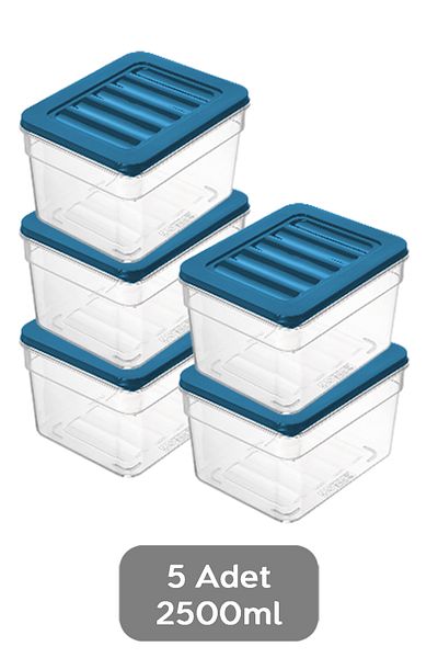 Meleni Home Blue Organizer Set of 5 - Deep Refrigerator, Microwave and Freezer Container, 1100ml