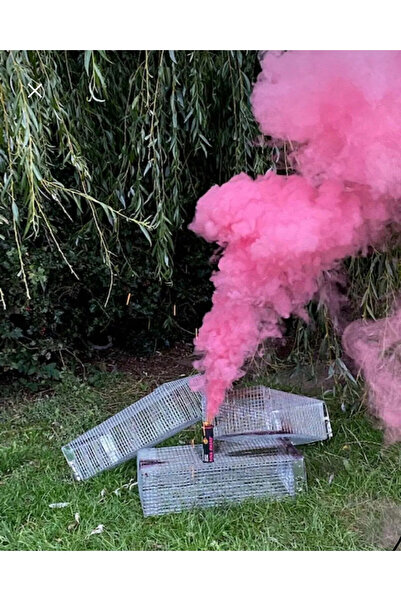 ERTOYS STORE Cinsiyet Belirleme Dumanı 1 Adet Mavi Ve 1 Adet Pembe Renkte 2'l...