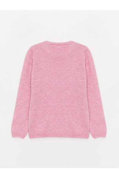 LC Waikiki Bisiklet Yaka Desenli Uzun Kollu Kız Çocuk Triko Kazak