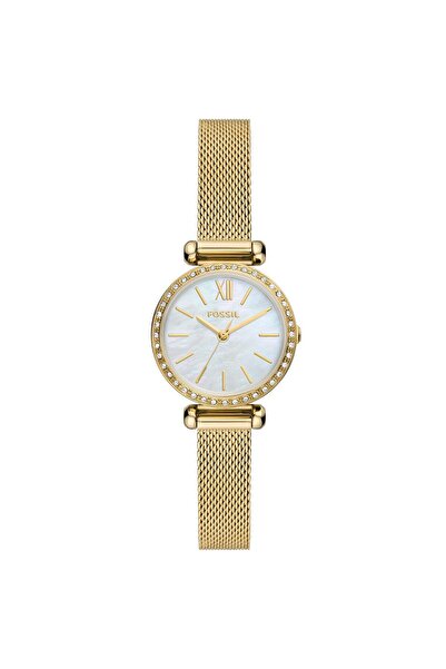 Fossil Bq3898 Women's Wristwatch