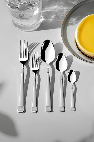 Nehir Dila Satin 12-Piece 60 Piece Cutlery Set