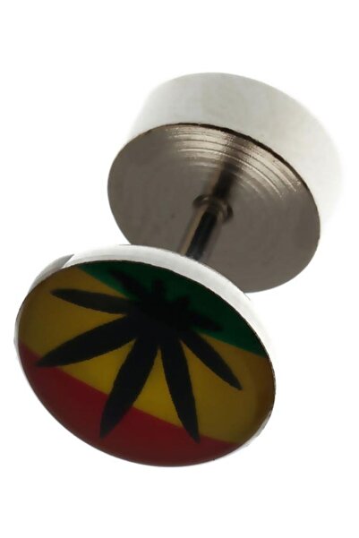 Rouge 316 L Steel Hemp Figure Screw Earrings