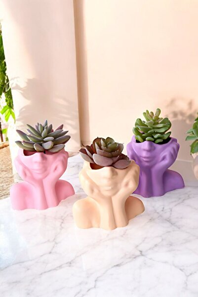 tambana Set de vaze decorative Obiecte pentru decorarea casei Set de vaze dec...