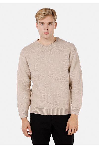Colin's Pulover pentru bărbați bej
