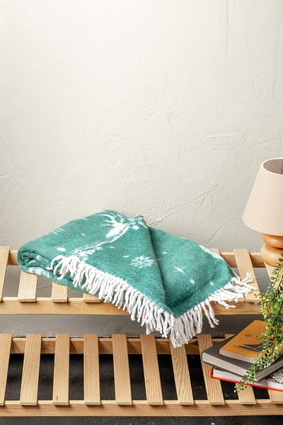 FH finehome بطانية عيد الميلاد Reindeer In The Forest TV مقاس 130x170