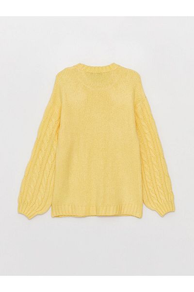 LC Waikiki LCWAIKIKI Maternity Crew Neck Self Patterned Long Sleeve Maternity Knitwear Sweater