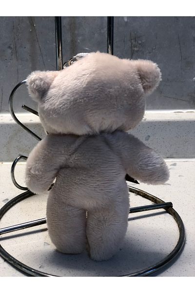 TOPROCKSTORE 12cm Cute Teddy Bear Plush Toy - Keychain, Sleeping Companion Gift
