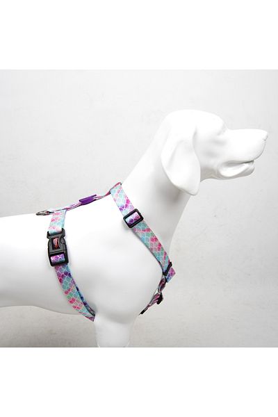 Tailpetz Bubbles H-Type Chest Collar Adjustable, Comfortable and Durable Patterned Dog Collar