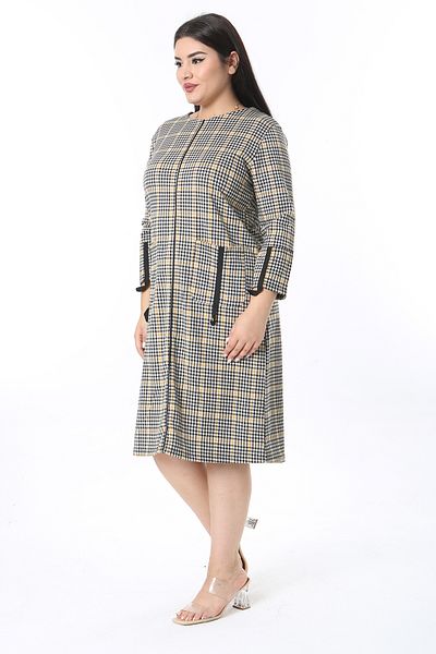 Şans Women's Large Size Beige Sequin Patterned Dress with Pocket and Piping Detail 65n35419