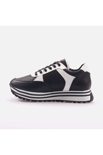 Rouge Women's Textile Poly Sole Black Sports & Sneaker Shoes
