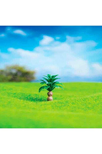 Genel Markalar 2,5 Cm 3'lü Salon Palmiyesi