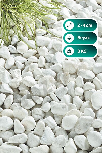 Bozsan Beyaz Dolomit Taş 3 Kg 2-4cm Dolomit Taşı Bahçe Süs Akvaryum Taşı Dere...
