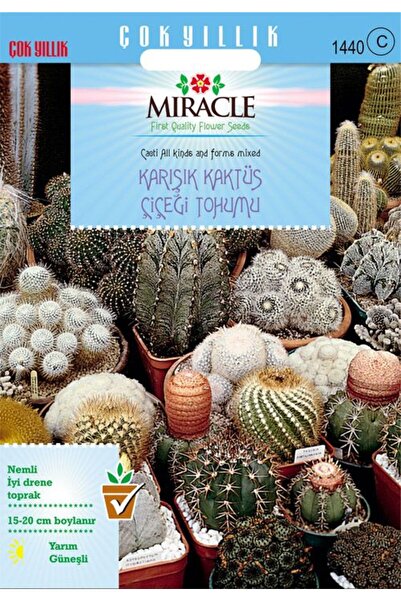Genel Markalar Karışık Kaktüs Bitkileri Çiçeği Tohumu (500 tohum)