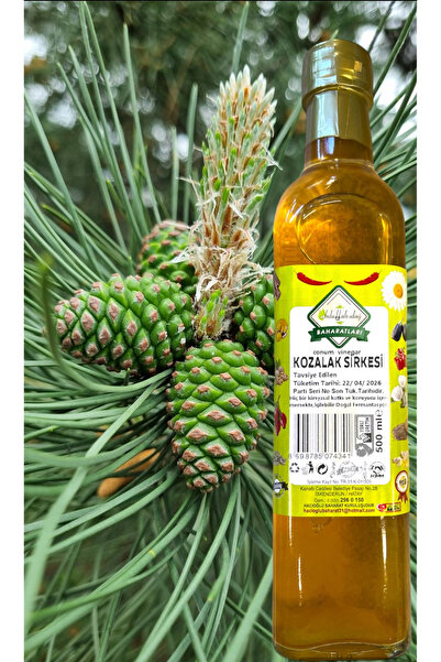 ABDULLAH DAĞ Hatay Yöresel Organik Doğal Kozalak Sirkesi 500 Ml