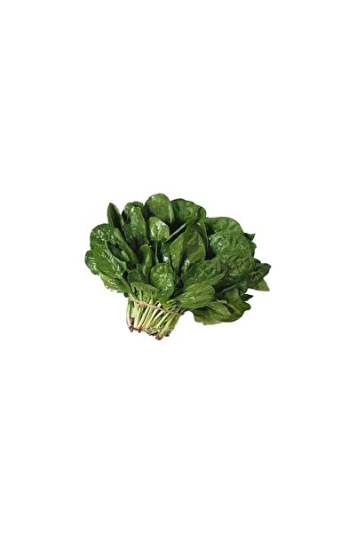 Hamile Marketim Ispanak Kuzu 1 kg