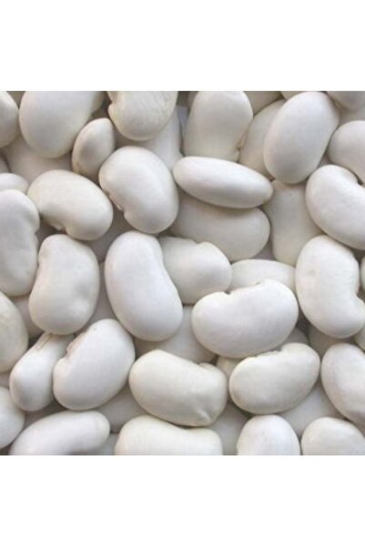 Köy Tohumları 250 Gr Organik Taze Niğde Erkenci Sırık Beyaz Fasulye Tohumu Ta...