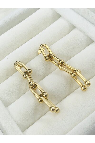 DS DİAMONDSHOP Dangle Steel Earrings Model - Byçkp- 202411316