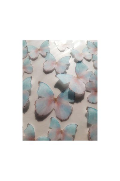 bizdenpastacılık Edible Paper Pastry Cupcake Soft Butterfly Illustrated Edible Paper Printing