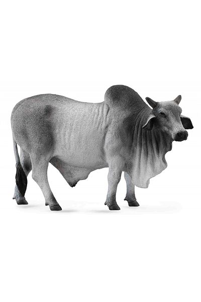 Collecta Brahman Bull L - Ειδώλιο Ζώου
