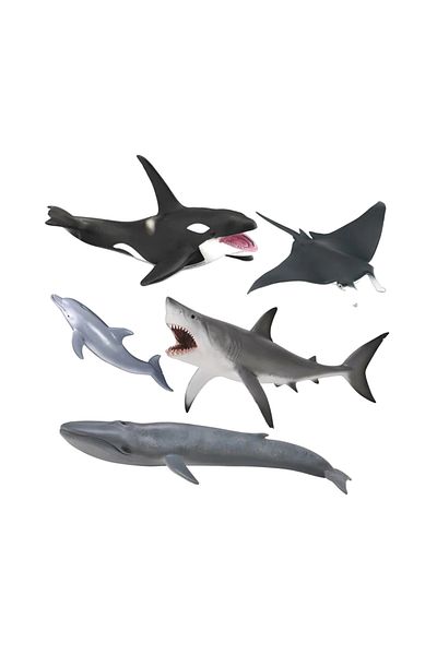 Collecta Σετ 5 Χειροποίητων Φιγουρίνων Θαλάσσιας Ζωής