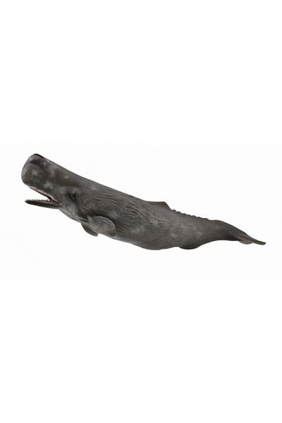 Collecta Φάλαινα Casalot - Φιγούρα Ζώου