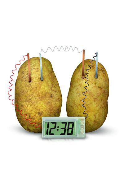 4M Science kit - Potato clock, Green Science - Green Science