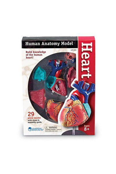 Learning Resources Corpul uman - Inima - Macheta cu 29 piese - Set educativ