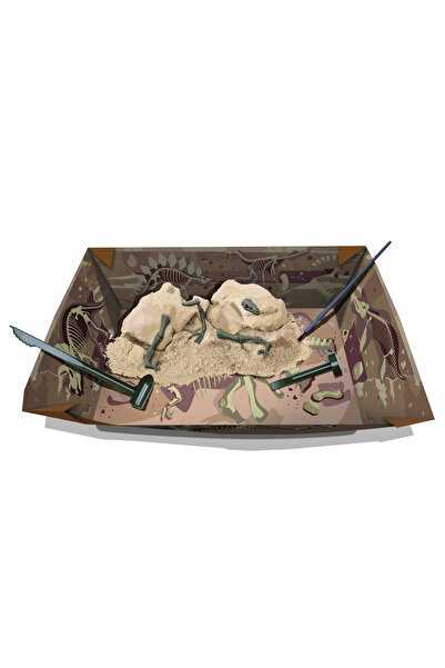 4M Educational set Dig and Discover Dinosaurs - Velociraptor