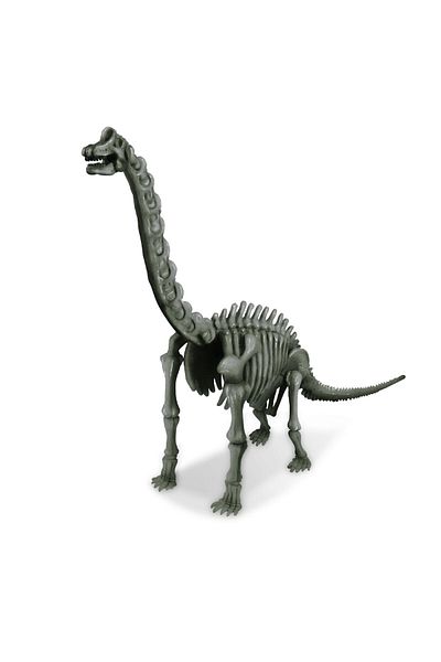 4M Educational set Dig and discover Dinosaurs - Brachiosaurus