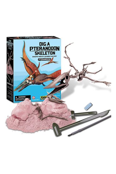 4M Educational set Dig and Discover Dinosaurs - Pteranodon