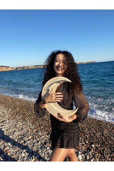 miniarpturkiye 17 Telli Mega Boy Pro Ay Lir Arp