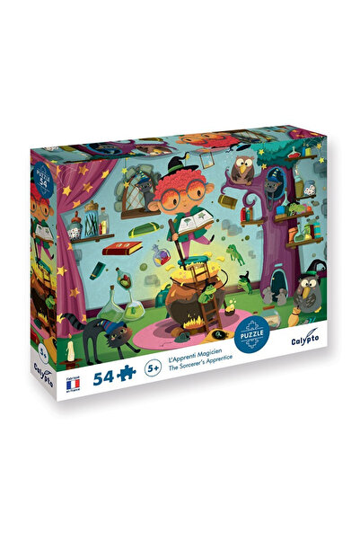 Sentosphere Puzzle Kouzelník 54 dílků