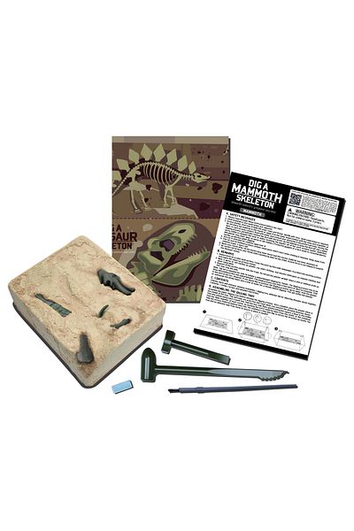 4M Educational set Dig and discover Dinosaurs - Mammoth