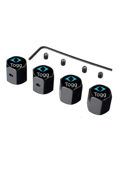 GARDENAUTO Togg Valve Cover - Alyan Anti-Theft Safe