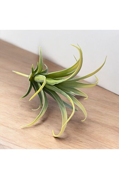 DDTREND Yapay Çiçek Slikon Kaktüs Sukulent Tekli Model No:6 SARI-YEŞİL