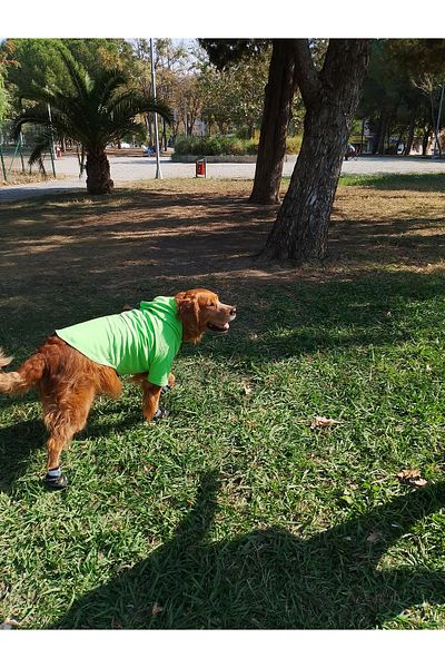 bubblecutepaw Patici Combed Cotton Dog Sweatshirt