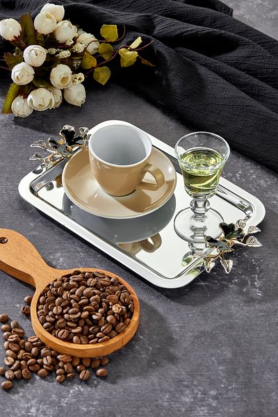 Milenay Elegante Noir Series, Duo Luna Nera Handle Patterned Chrome Presentation Promise Engagement Tray, 22X16Cm, Single Piece