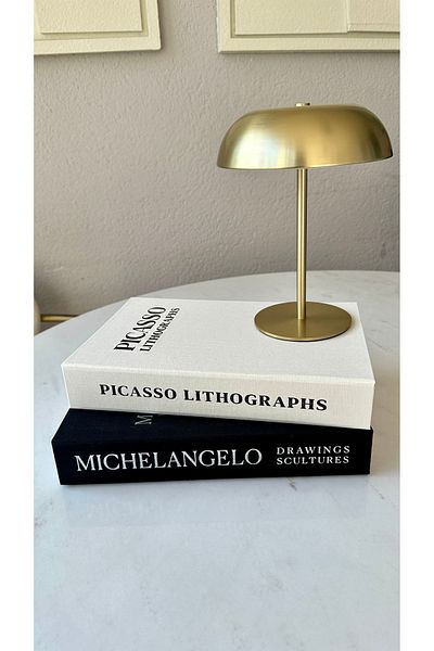irayhomedecor Διακοσμητικό κουτί βιβλίων 2 τεμαχίων με επένδυση από ύφασμα (Michelangelo-Picasso)