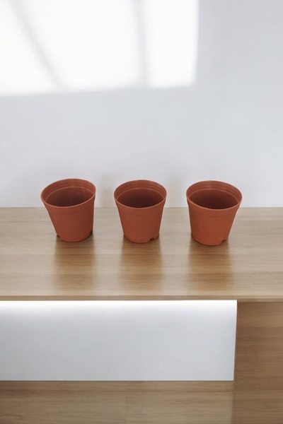 Home 5,5 Cm Plastik Saksı 3'lü