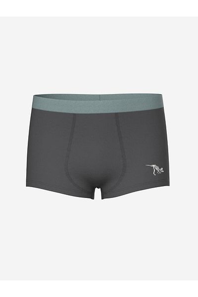 LC Waikiki Printed Boy's Boxer Set of 3
