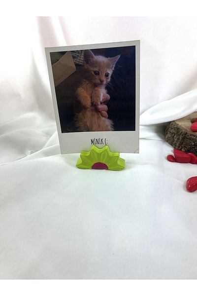 Melouro Pistachio Green Daisy Note Holder, Photo and Card Holder, Note Holder Wedding Name Holder