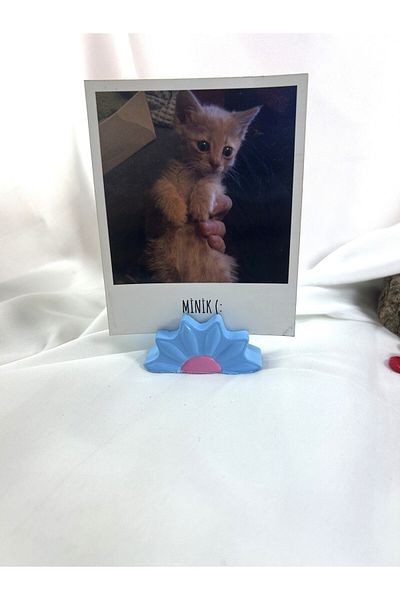Melouro Baby Blue Daisy Note Holder, Photo and Card Holder, Note Holder Wedding Name Holder