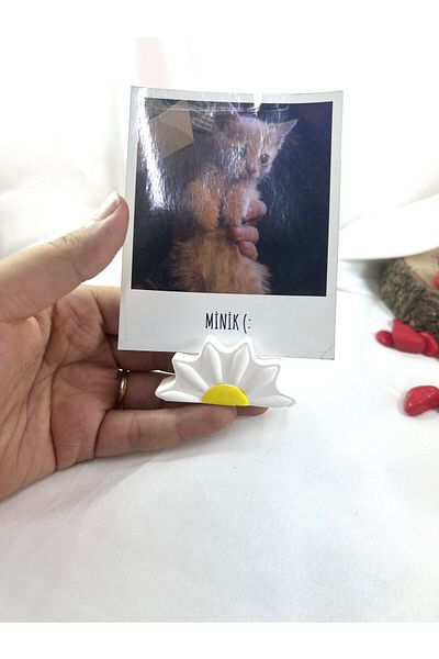 Melouro Daisy Note Holder, Photo and Card Holder, Note Holder Wedding Name Holder