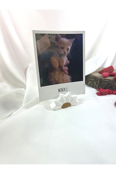 Melouro White Daisy Note Holder, Photo and Card Holder, Note Holder Wedding Name Holder